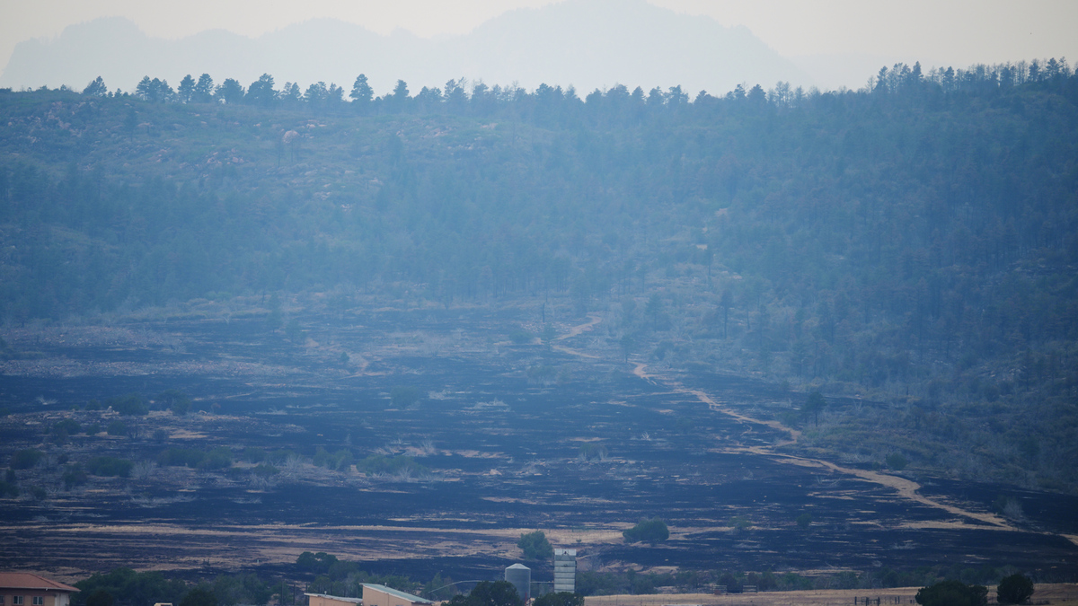 Scorched earth left in the wake of the Aspen Acres fire is seen in Colorado City on Tuesday, July 7, 2026. (Hyoung Chang/The Denver Post/TNS)
