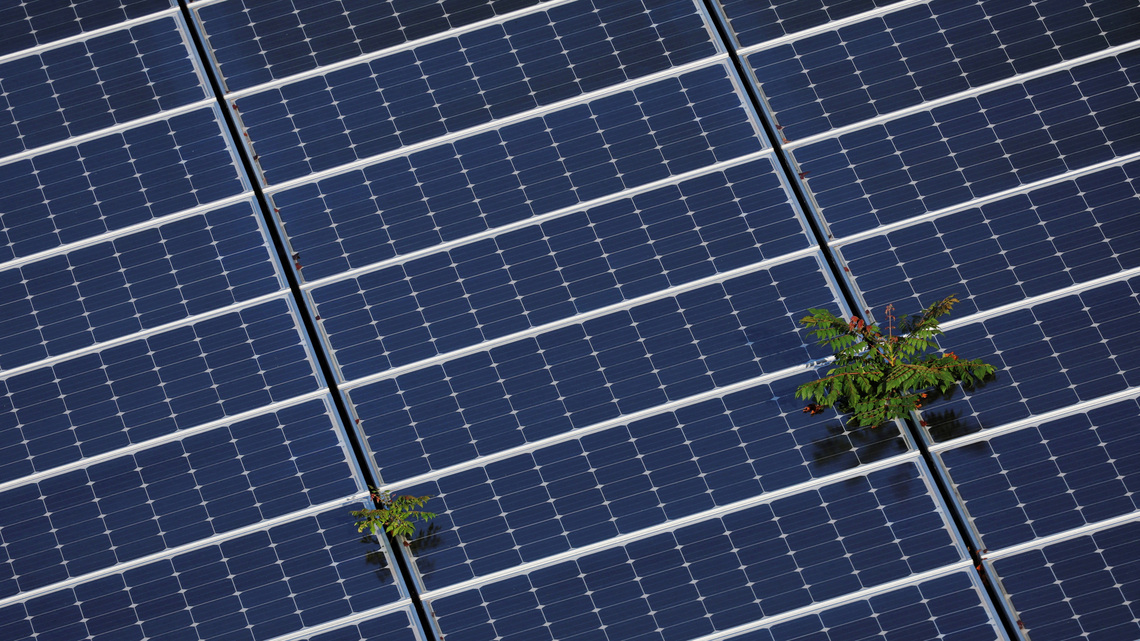Exclusive-Exus acquires large US solar projects from ibV Energy in data center hot spots Louisiana and Wisconsin 