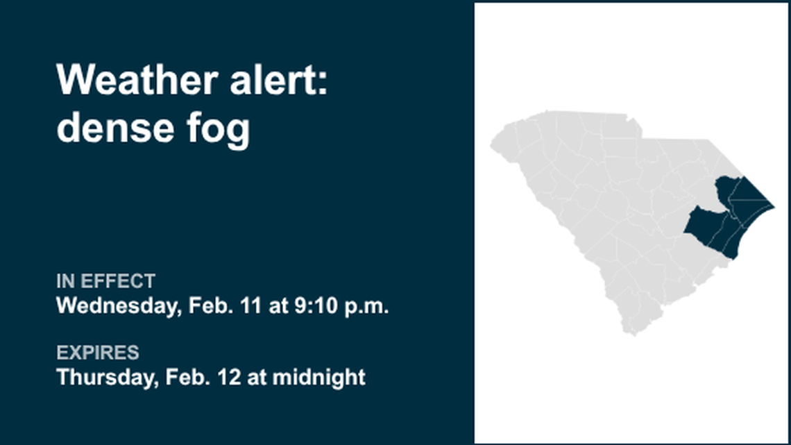 Weather alert for dense fog in Pee Dee until early Thursday 