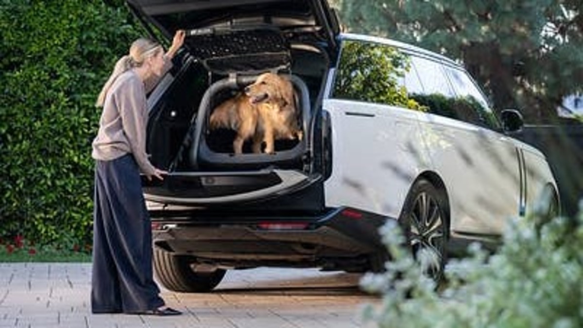 Everett Crash-tested Pet Cargo Crate.