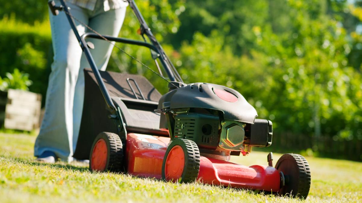 Unlike those crops, most lawns don’t feed anyone. They demand time, water, fertilizer and fuel, writes Melissa Rae Sanger. (Alexander Raths/Dreamstime/TNS)