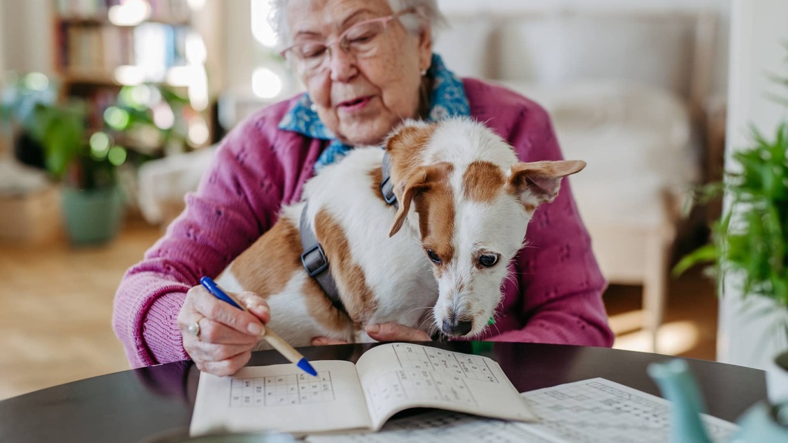 New Study Finds Pets Are One of the Most Powerful Wellbeing Tools for Older Adults Who Live Alone 