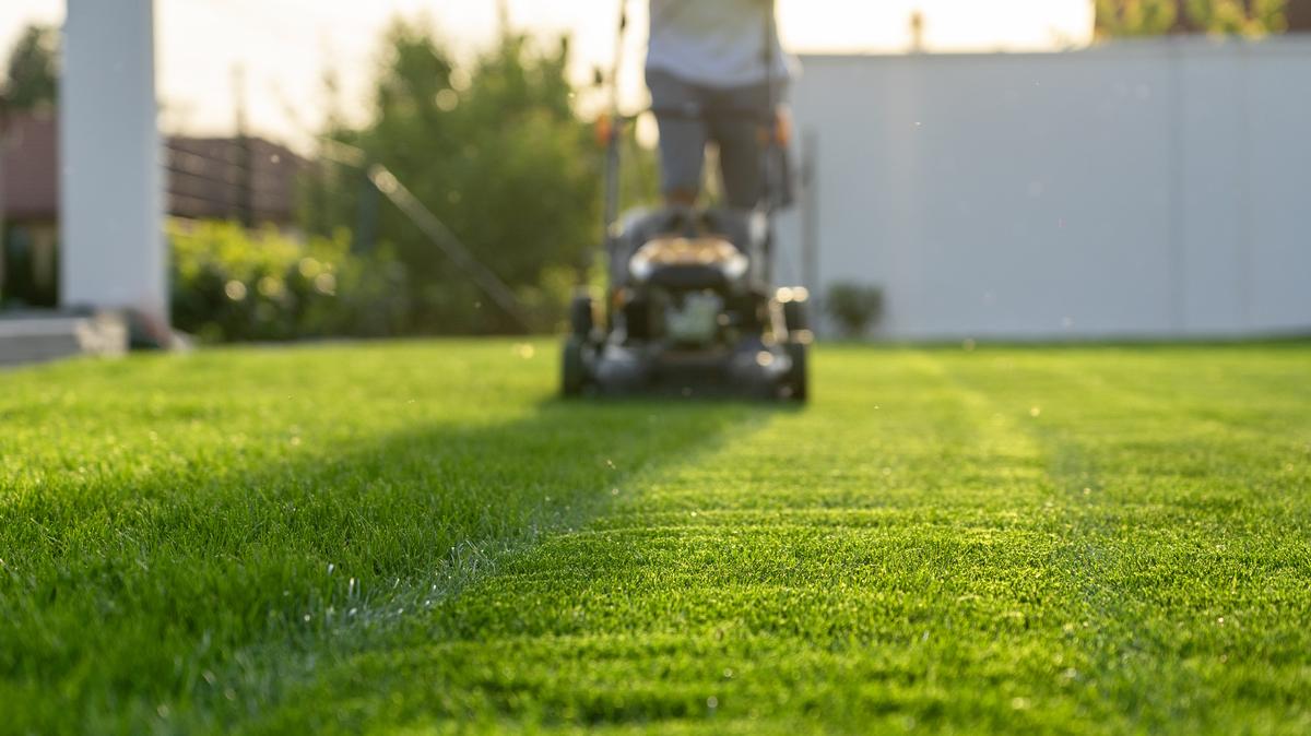 A North Natomas resident in Sacramento says higher city taxes mean less lawn care, forcing a disabled senior to pay a gardener to mow city-owned greenbelts.