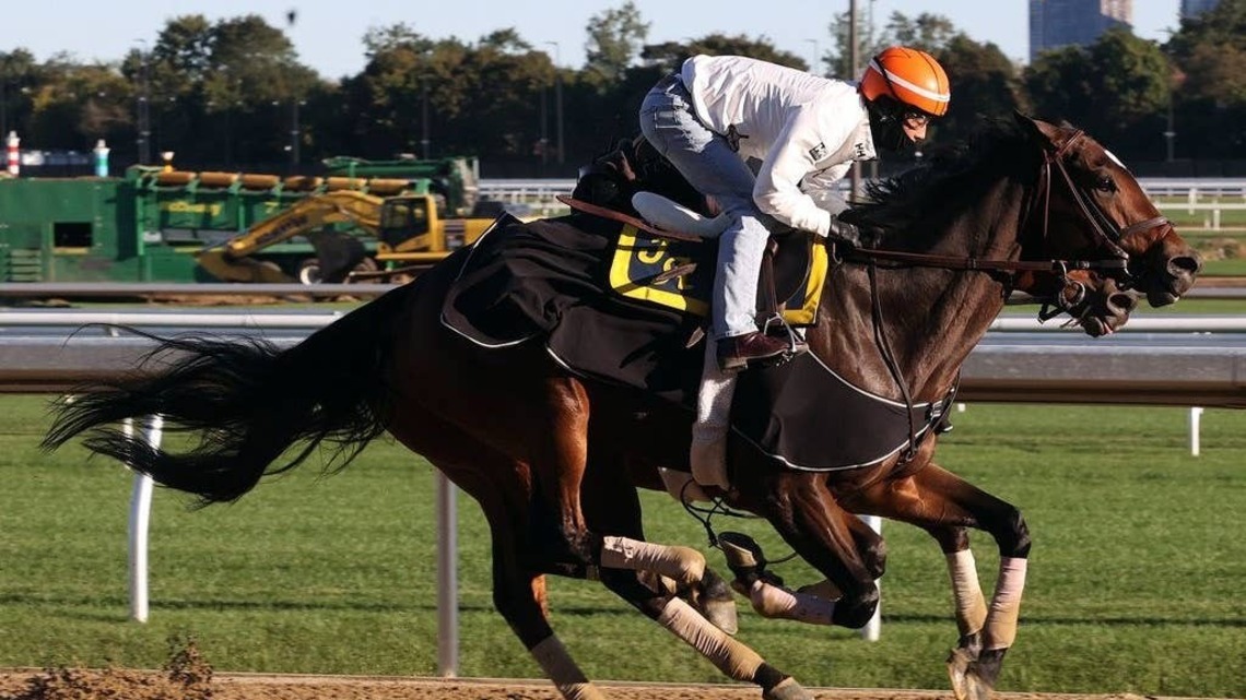 'Pretty Good And Smooth': Scottish Lassie Pleases In Belmont Tuneup For BC Distaff 