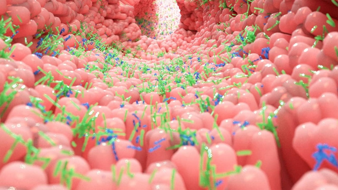 Fibermaxxing? Your microbes (and your health) say thanks. 