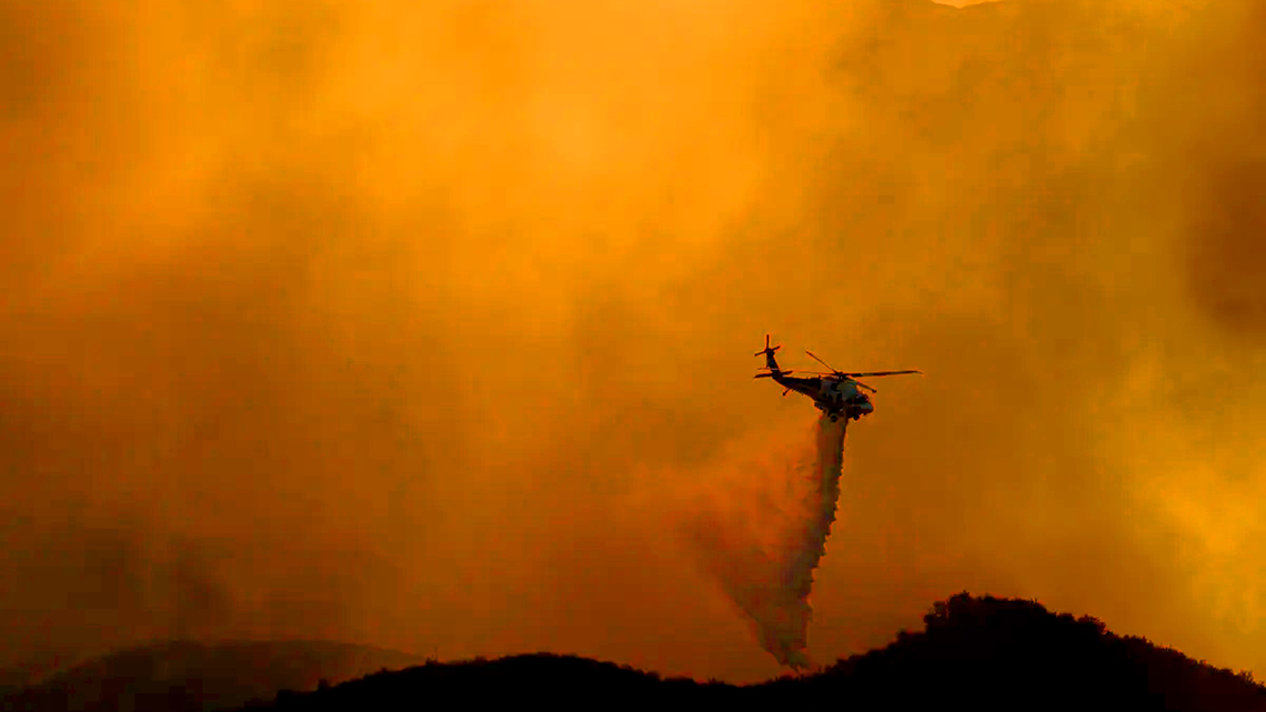 Just 8 years after Woolsey, a new fire ignites in its scar - too soon for both residents and plants 