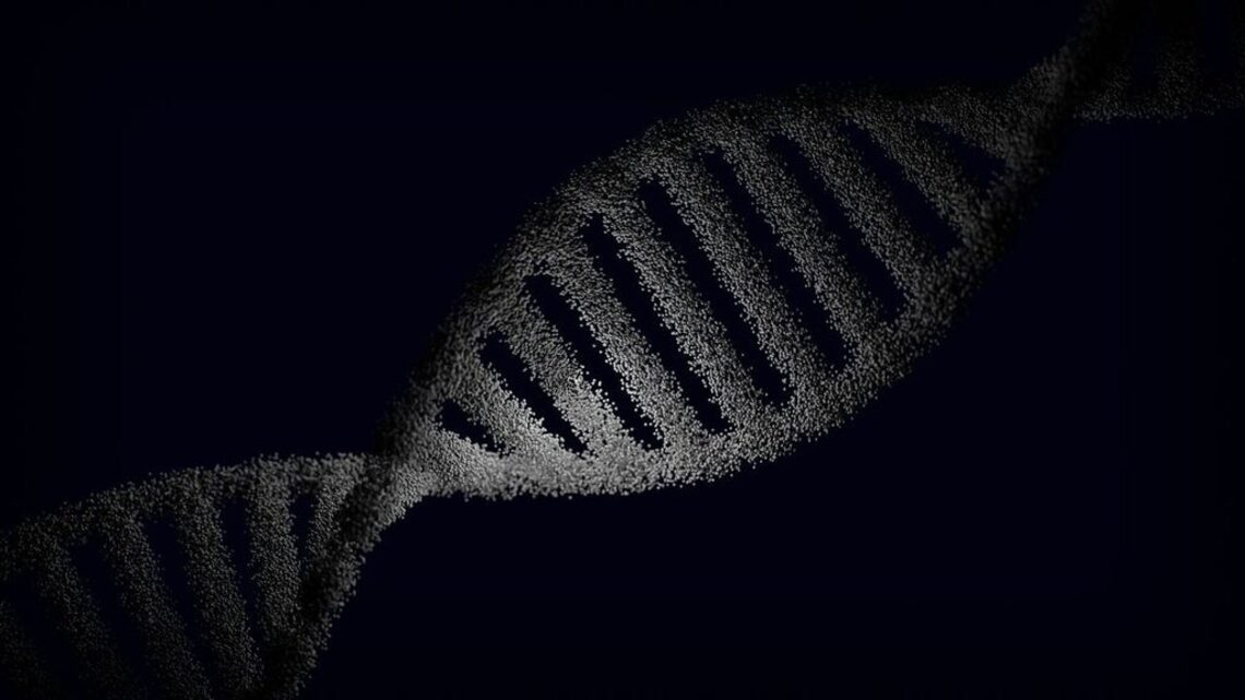 X and Y chromosomes shape how cells age and fight disease too