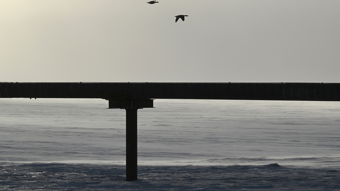 Former CEO alleges Russian company financed Alaska project, raising risk of US sanctions violations. Polar LNG denies the claims 