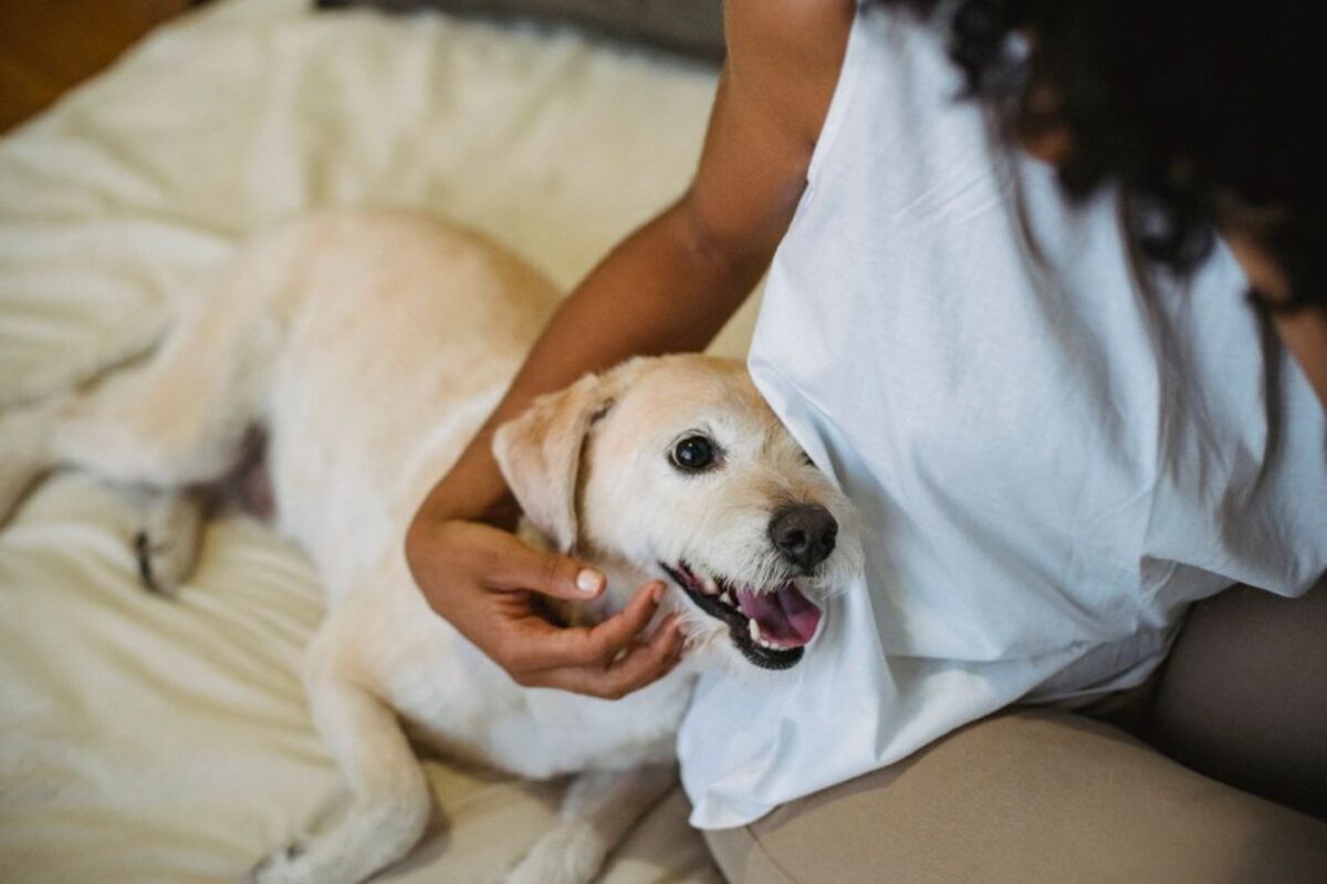  (Photo by Samson Katt via Pexels) 