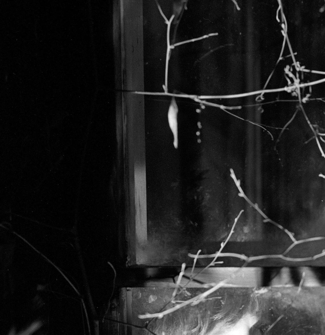 David Henesy (David Collins) and Jonathan Frid (Barnabas Collins)©ABC/courtesy MovieStillsDB.com