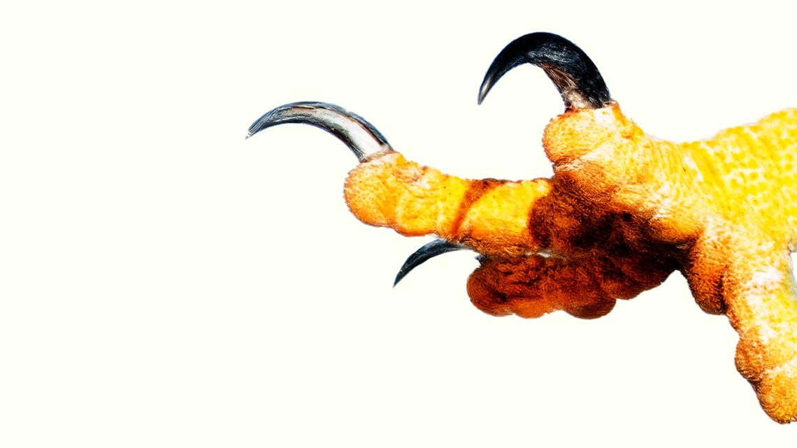 They Want to Stop Paying Taxes as a Protest. There Are Consequences.