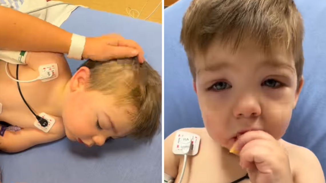 Toddler Plays With Brothers in Backyard, Then Things Take a Terrifying Turn 