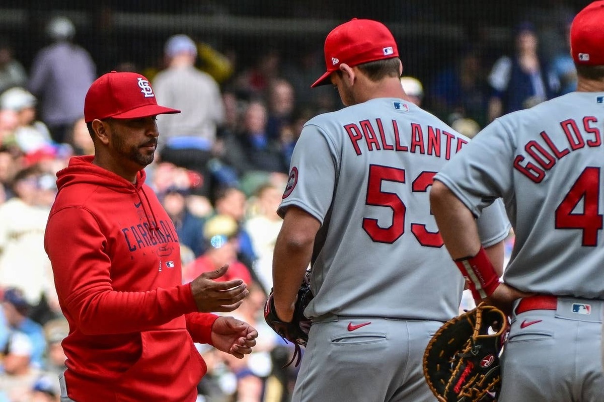  St. Louis Cardinals manager Oli Marmol (31). © Benny Sieu-Imagn Images