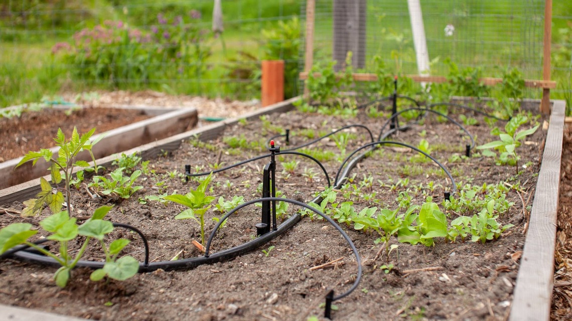 Here's Exactly How Long You Should Run the Soaker Hose in Your Garden, According to the Pros 