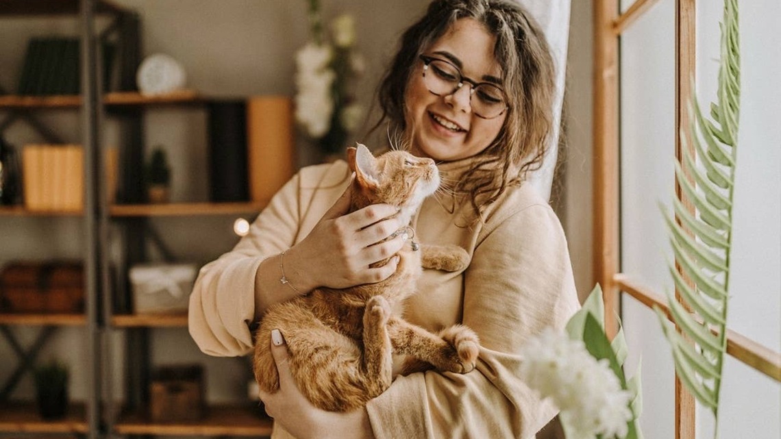 These 7 Affectionate Cat Breeds Love Human Company And Are Anything But Loners 