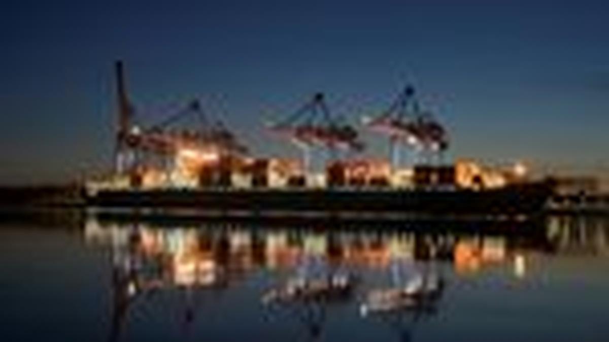 A container ship is seen at the loading terminal "Altenwerder" in the port of Hamburg, Germany, February 17, 2025. REUTERS/Fabian Bimmer