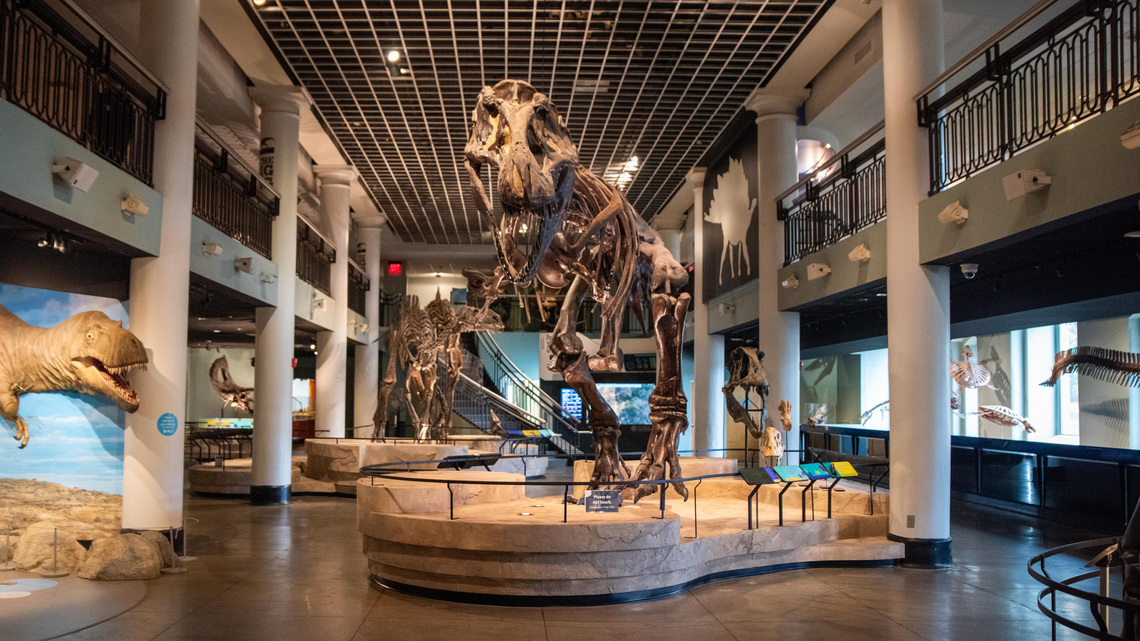 The Academy of Natural Sciences Museum is closing, when to visit 