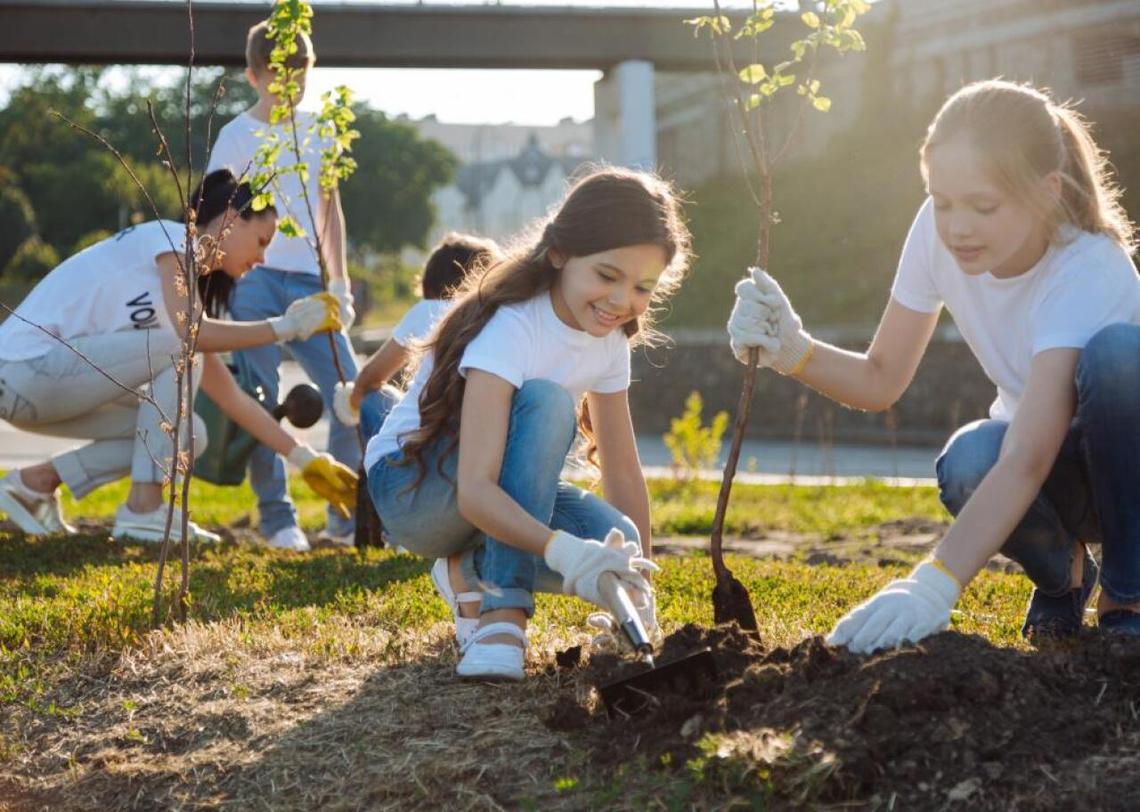  Dmytro Zinkevych // Shutterstock 