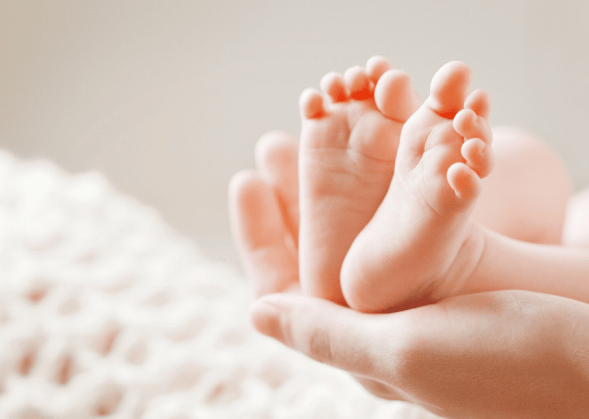  Liudmila Fadzeyeva // Shutterstock 