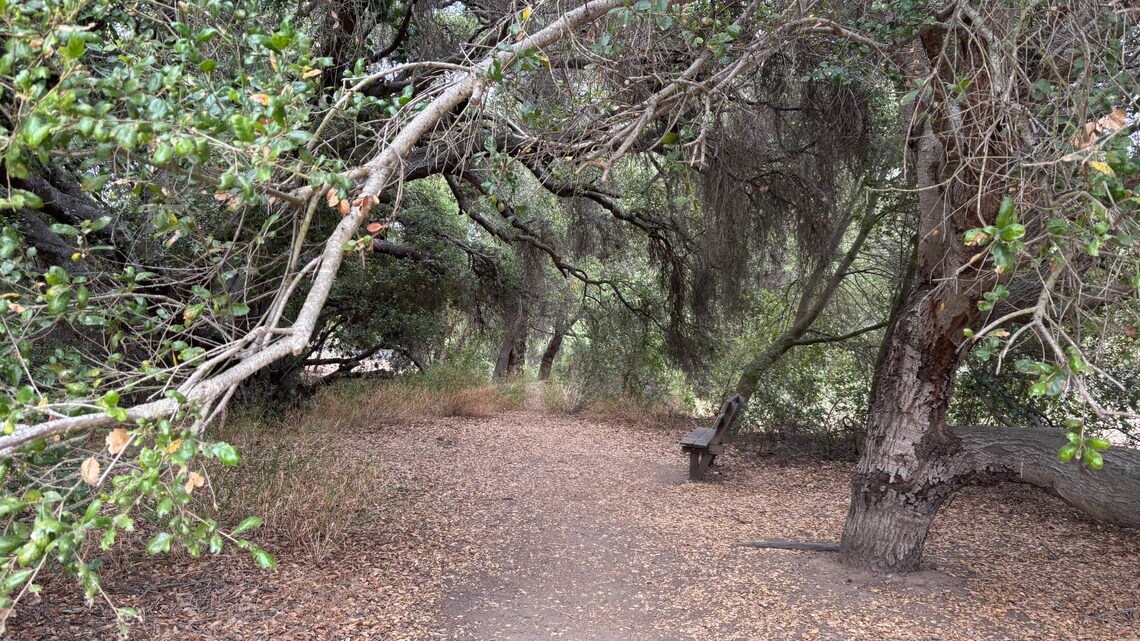 This week, take a moment to appreciate America's public lands 