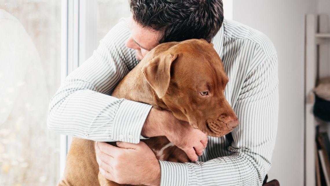 Psychology Explains Why Some People Don't Just Like Dogs-They Need Them 