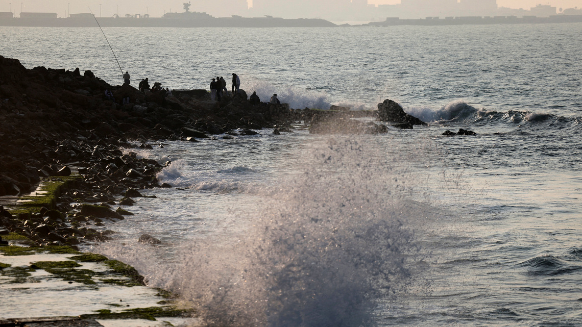 Antibiotic resistance genes found across world oceans, Italian study shows 