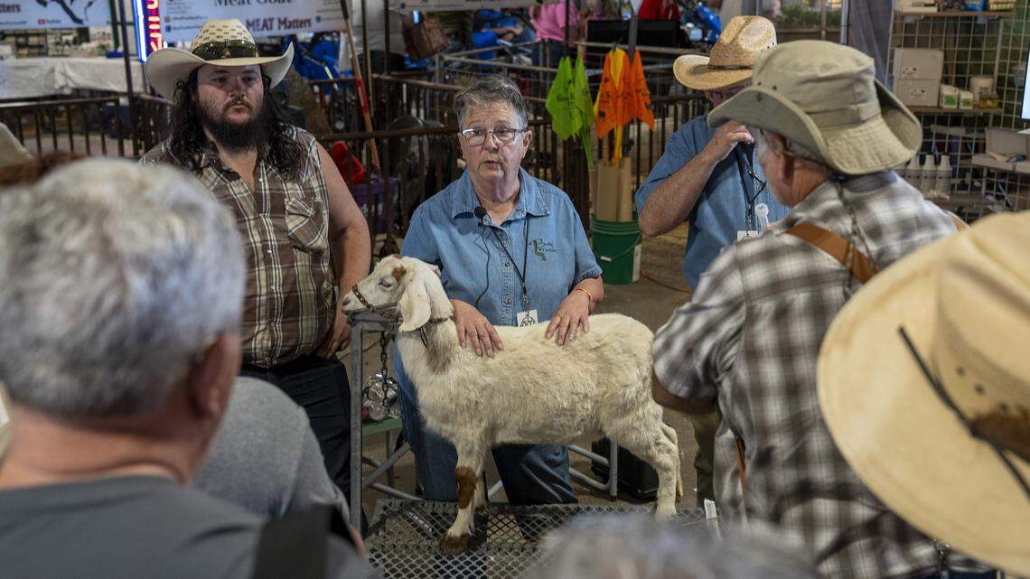 Homesteaders live off the land (and prep for the end of the world)