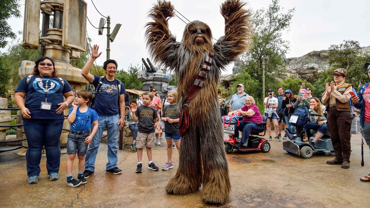 Chewbacca has appeared inside Disneyland’s Star Wars: Galaxy’s Edge regularly since the land opened in 2019, but many other classic characters from the franchise, such as Luke Skywalker or Darth Vader, couldn’t be in the land because of its very specific time line. (Photo by Jeff Gritchen, Orange County Register/SCNG)