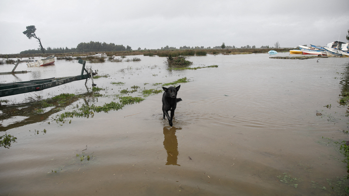 Chile storms kill three, displace hundreds as heaviest rains expected 