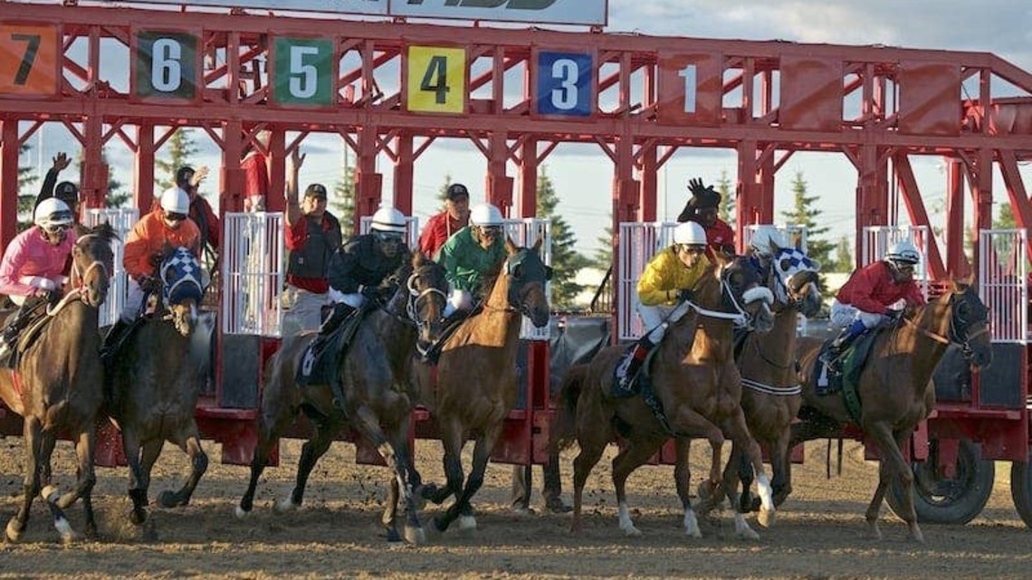 Fatal Post-Race Collision At Assiniboia Downs Has Owner Seeking Answers 