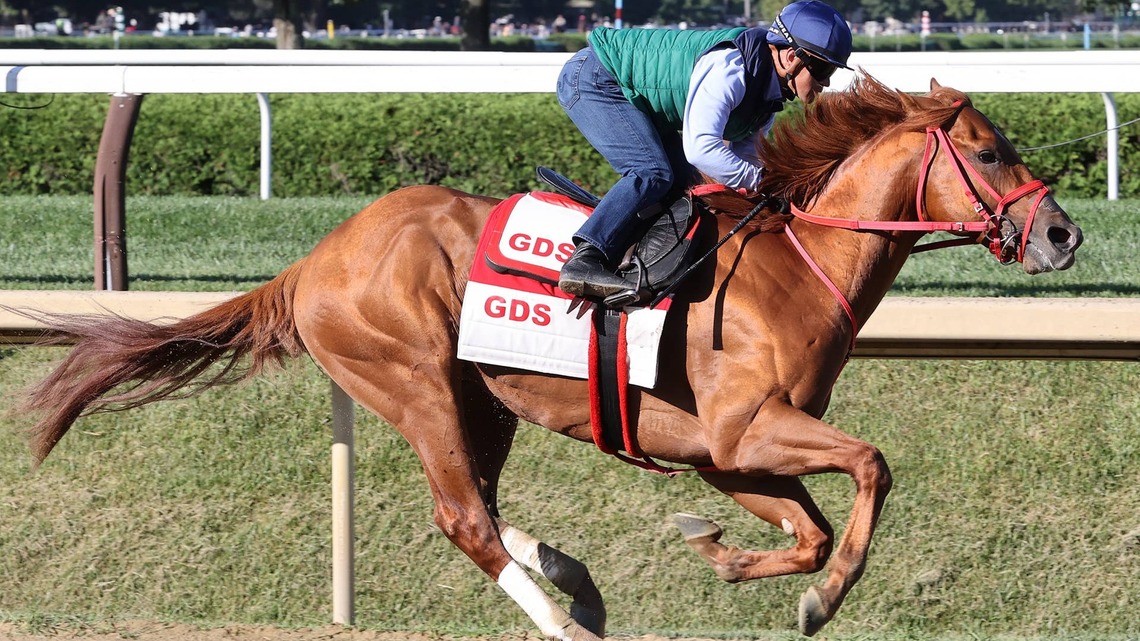 ‘What I Was Looking For': The Puma Completes ‘Maintenance' Breeze For Travers 