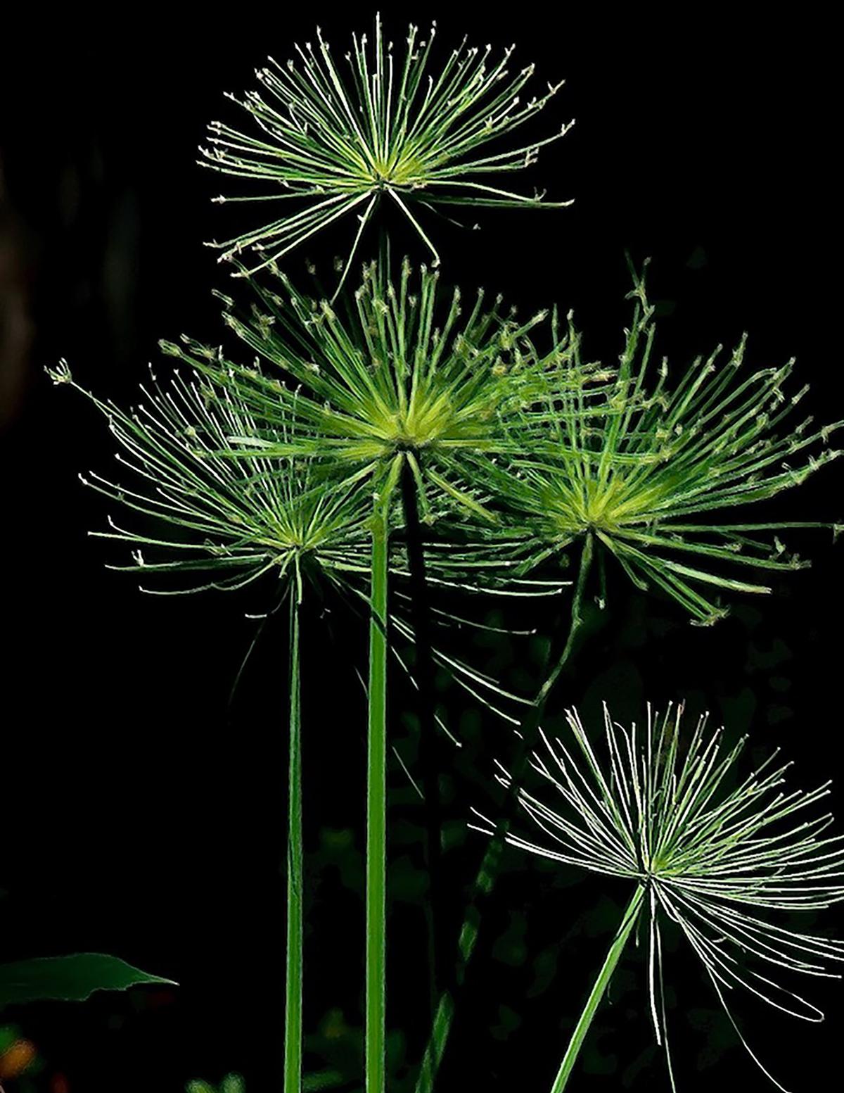 Norman Winter/Norman Winter/TNS