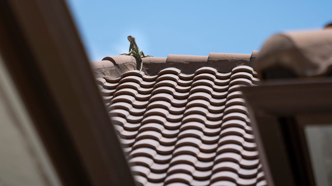 Reliable Naples Roofing Pros - Vetted, Rated, and Ready to Help