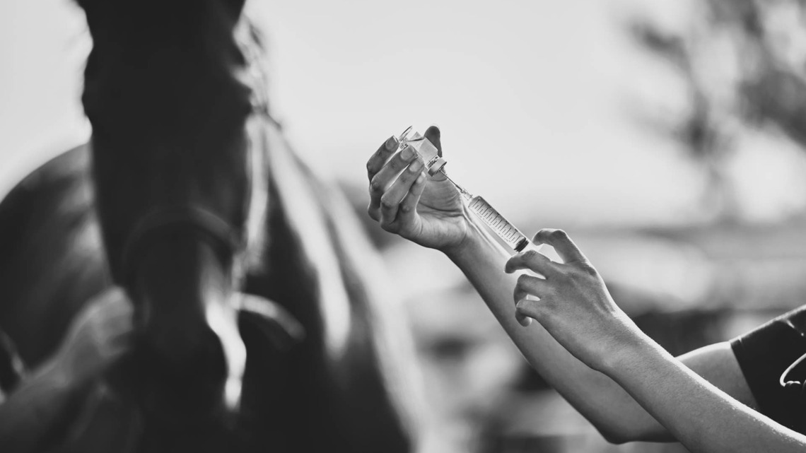 When A Vet Misleads A Trainer, How Far Does Trainer Responsibility Go? 