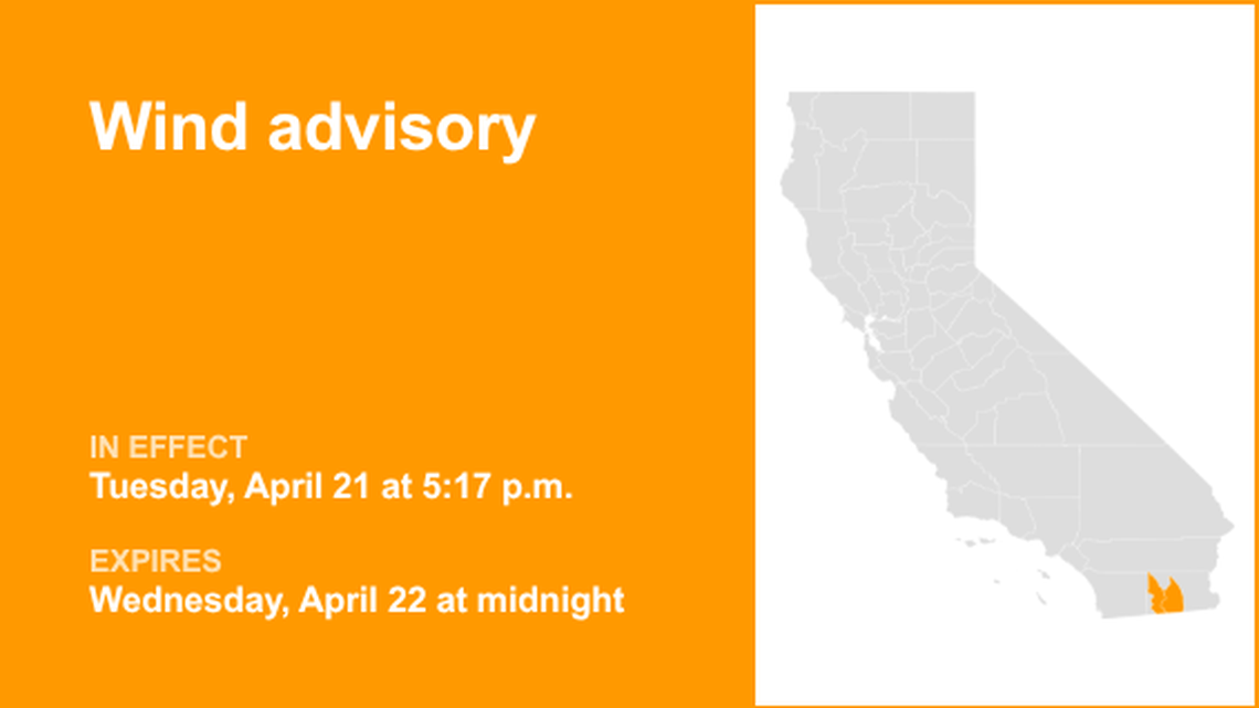 unitedrobots photography