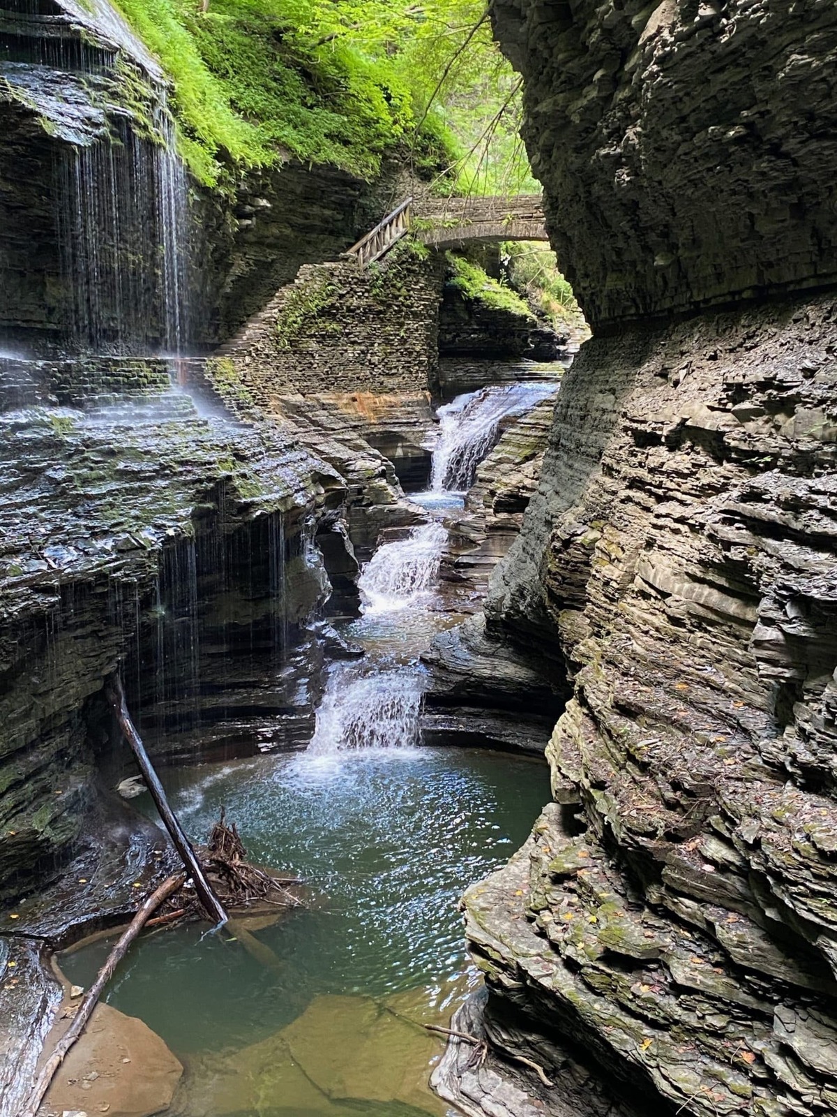  Trails are wet in Watkins Glen State Park so be sure to wear the right shoes! Photo credit: Cathy Bennett Kopf 