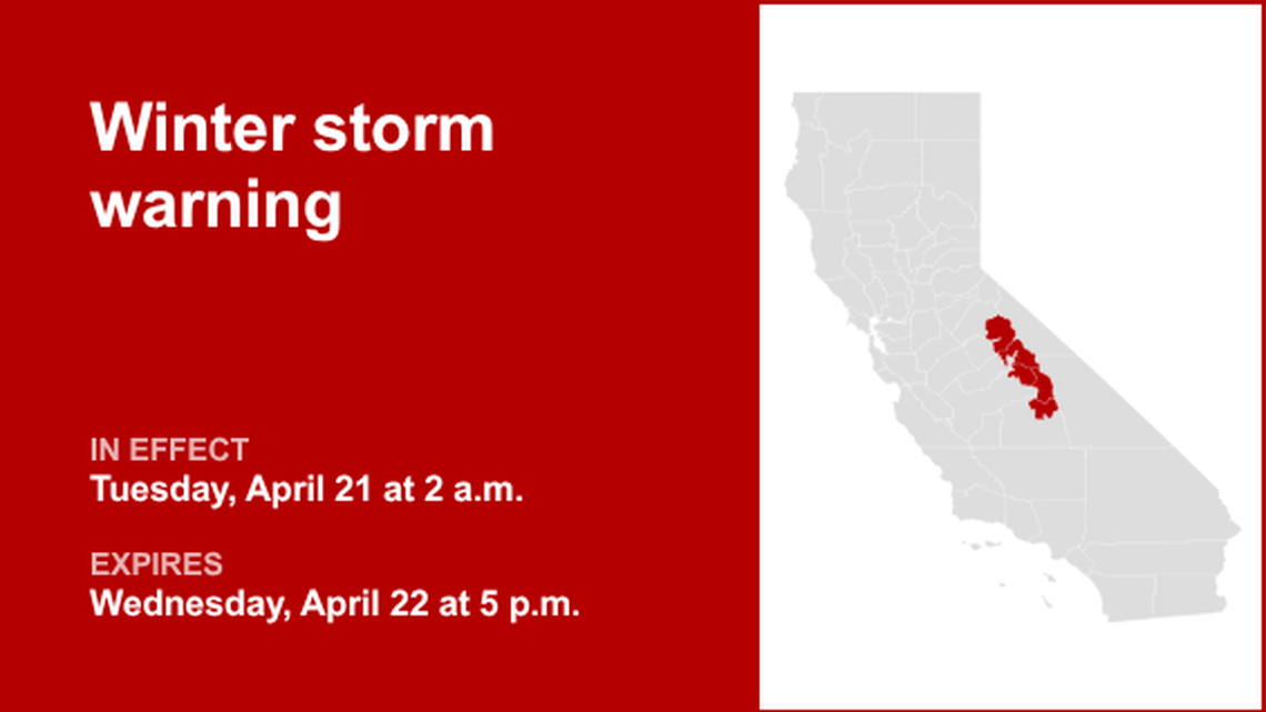 unitedrobots photography