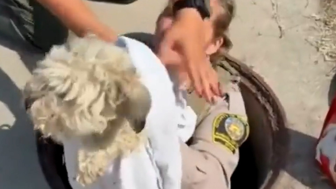 Trapped dog rescued after weeks missing 