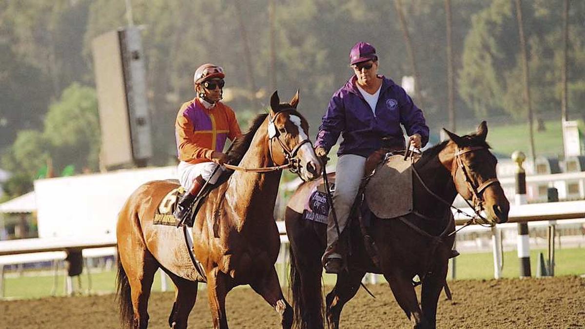  Into Mischief (left) competed in just six races, including the 2008 Damascus Stakes, which he won. | Courtesy of Spendthrift Farm 