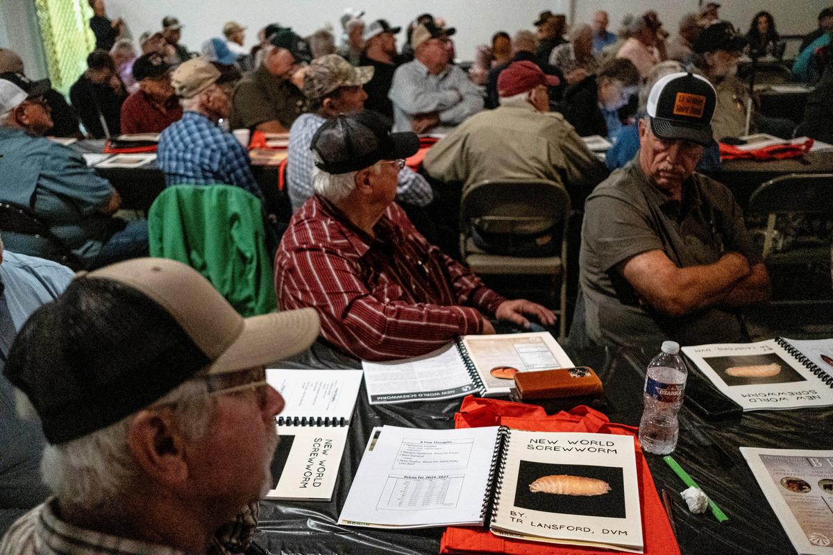 Cattle ranchers attend a presentation on the threat of the New World Screwworm during the Fayette County Cow/Calf Clinic and Trade Show in La Grange, Texas, U.S., May 1, 2026.  REUTERS/Joel Angel Juarez