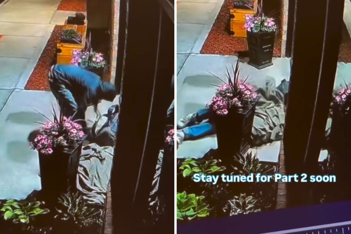  Screenshots from a June 6 Instagram video of security camera footage showing an owner camping outside the vet clinic at 4 a.m. after his dog was hit by a car. 
