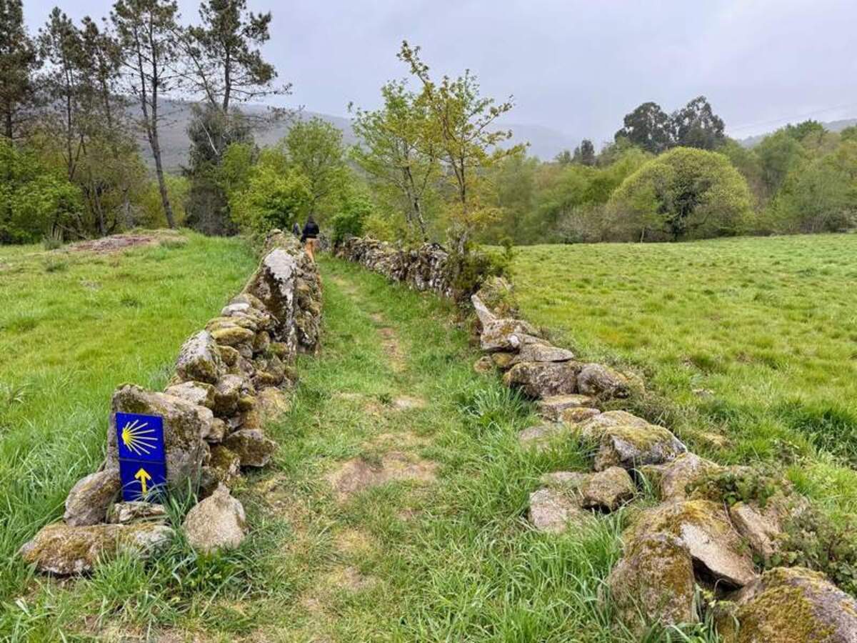  A fun aspect of all this walking is spotting the Camino trail symbol of a scallop shell and its distinctive yellow arrows. It represents both guidance and shared purpose.. Photo credit: Margot Black 