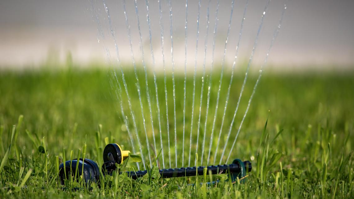 You're Watering Your Lawn at the Wrong Time-Do This Instead 