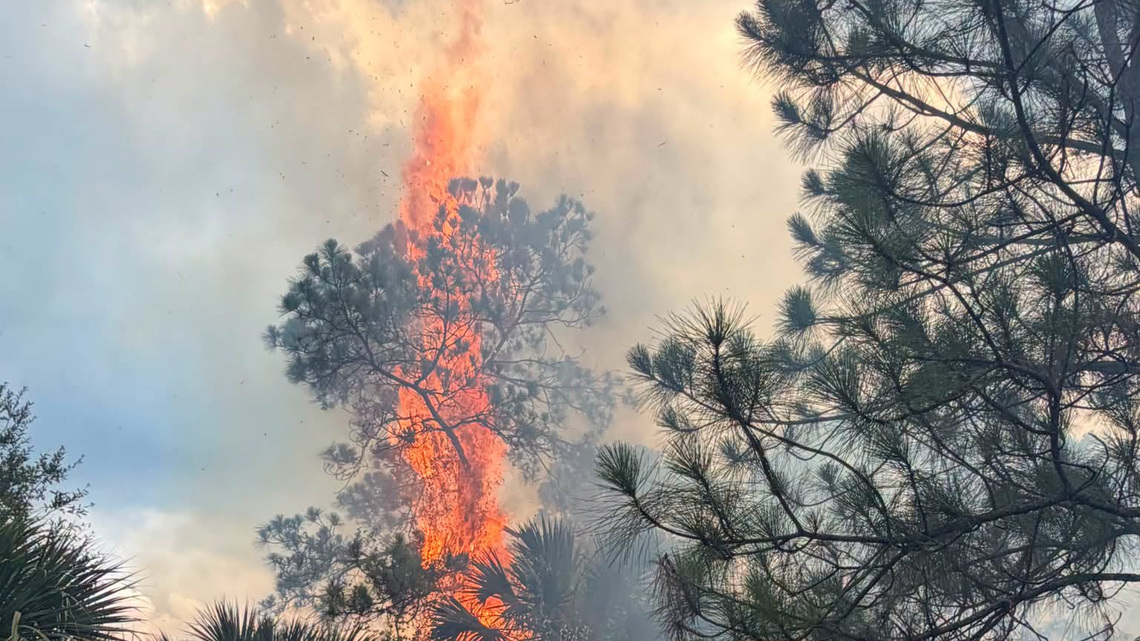 Florida brush fire reignites near Okeechobee and Martin County line