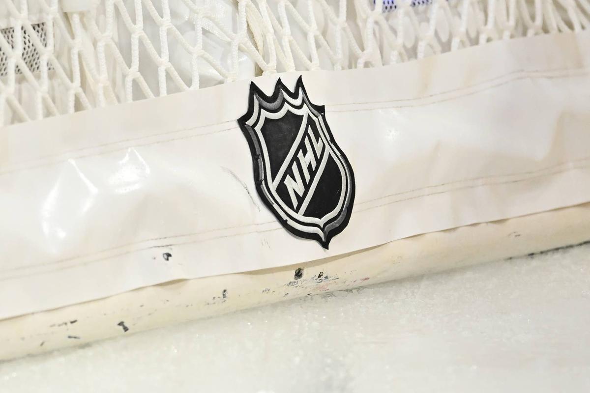  An NHL logo. (Photo by Minas Panagiotakis/Getty Images) 