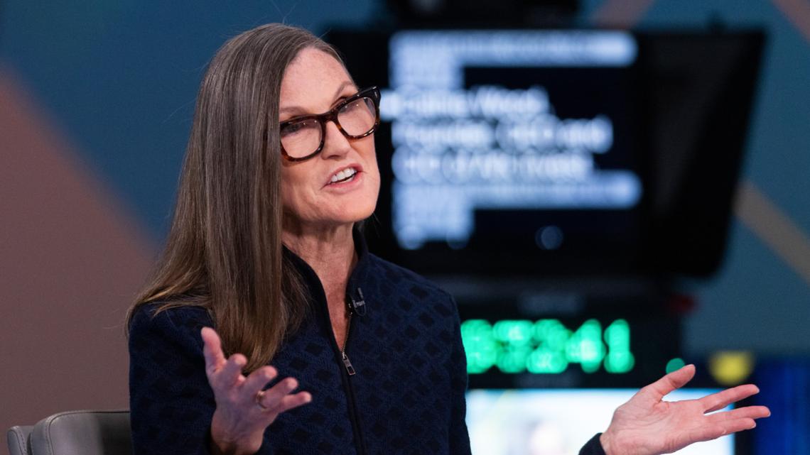 Cathie Wood buys $46 million of tumbling Robinhood stock 