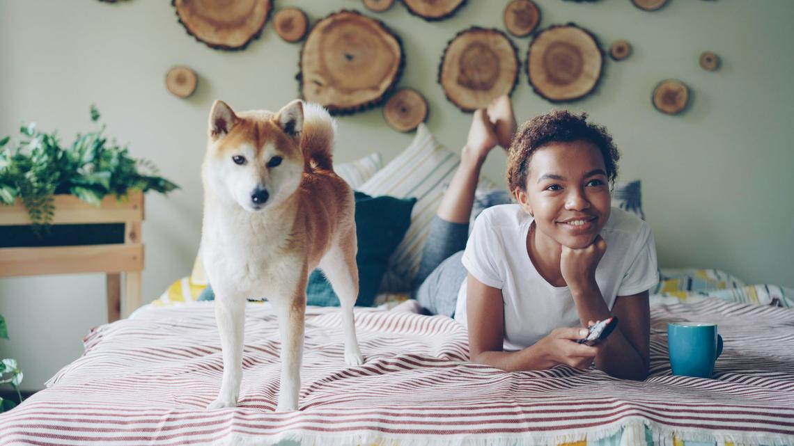 What do dogs need for a well-adjusted life?