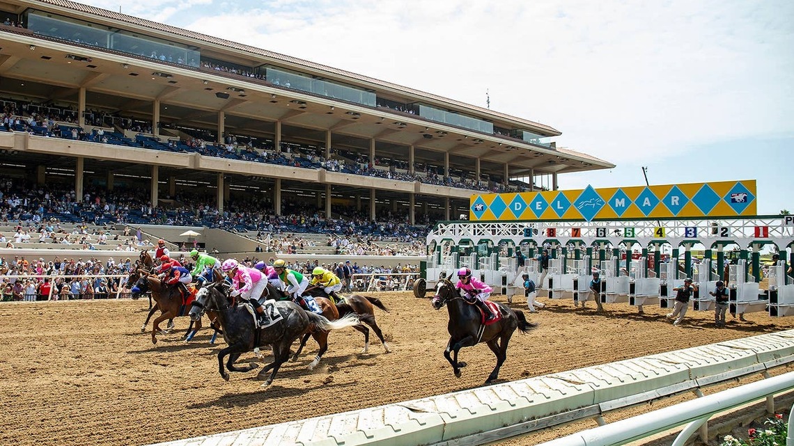 Thoroughbred Aftercare Alliance Will Have Presence At Del Mar For Pacific Classic 