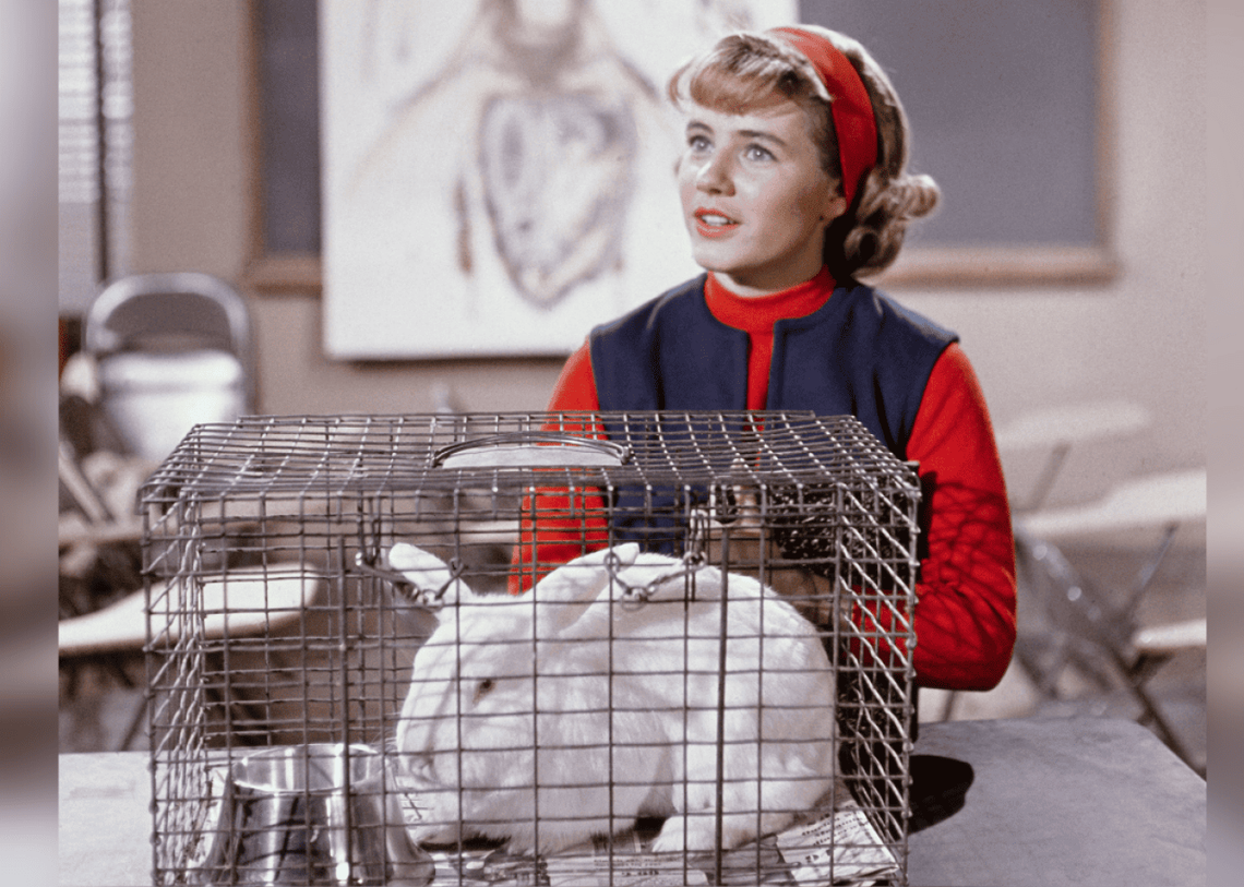  Bettmann // Getty Images 