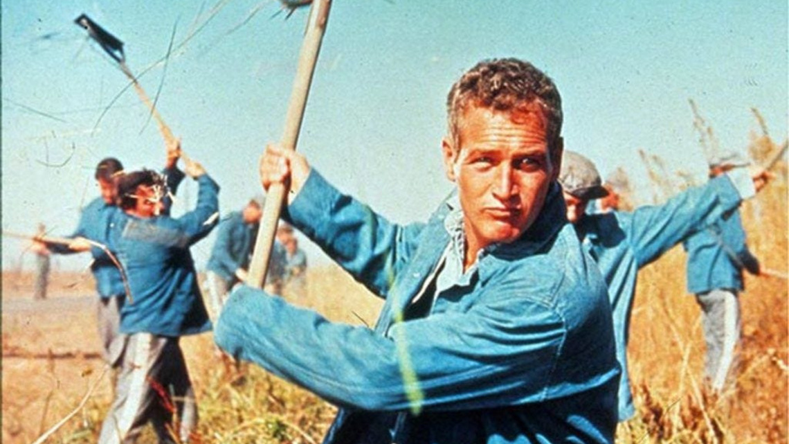 27 of the best Florida movies, including films shot in Sarasota 